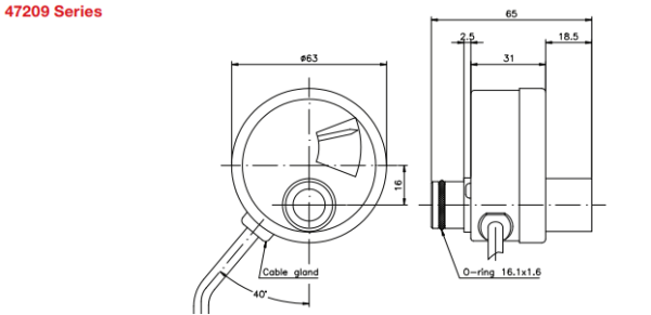 AKM 47209 IONIX ENERGY