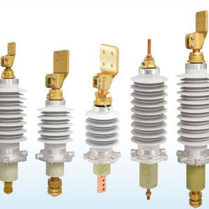 REINHAUSEN CEDASPE SBC IONIX ENERGY