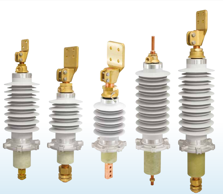 REINHAUSEN CEDASPE SBC IONIX ENERGY