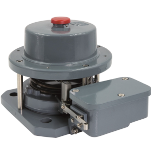 REINHAUSEN CEDASPE VP IONIX ENERGY