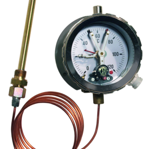 REINHAUSSEN CEDASPE TESS IONIX ENERGY