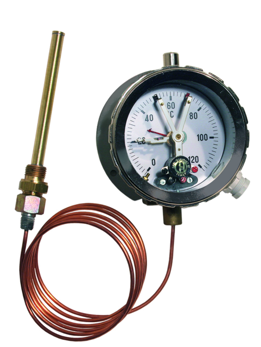 REINHAUSSEN CEDASPE TESS IONIX ENERGY